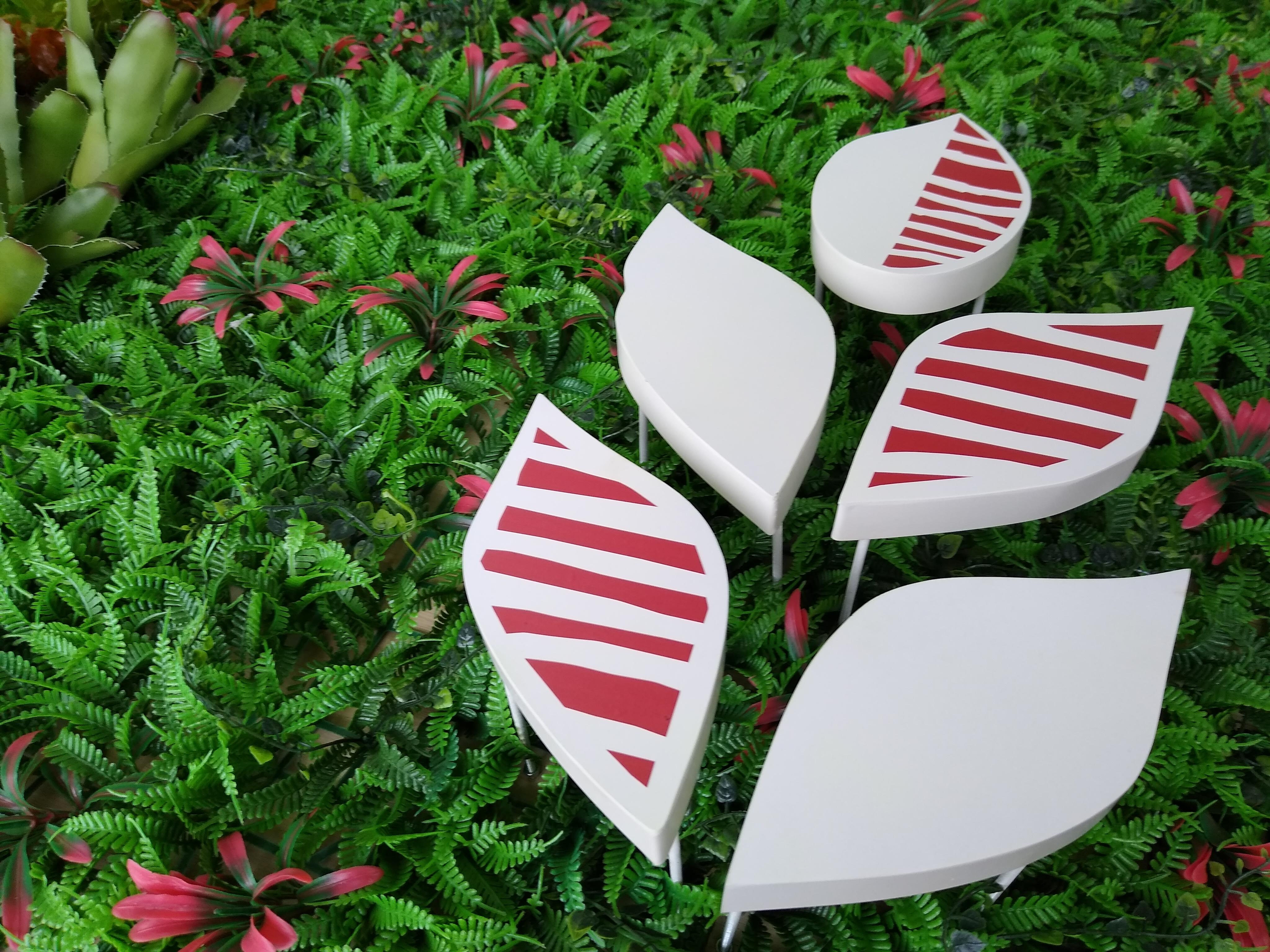 ELEMENTOS PETRA1.jpg